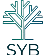 Logo SyB Capacitaciones